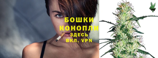 spice Ладушкин