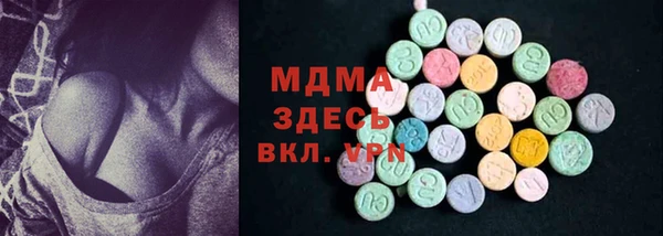 сатива Кулебаки
