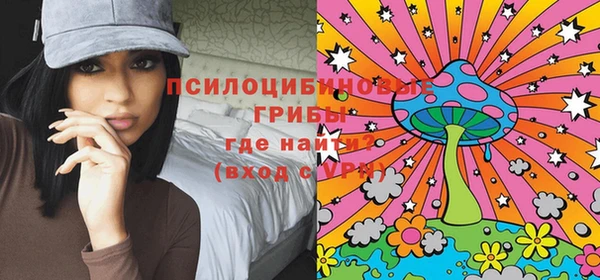 не бодяженный Бердск
