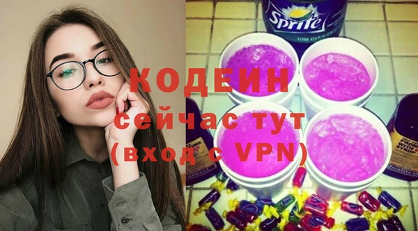 сатива Кулебаки