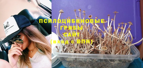 дурь Лагань