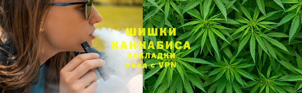 сатива Кулебаки