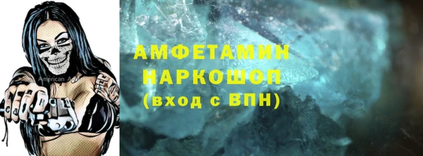 сатива Кулебаки